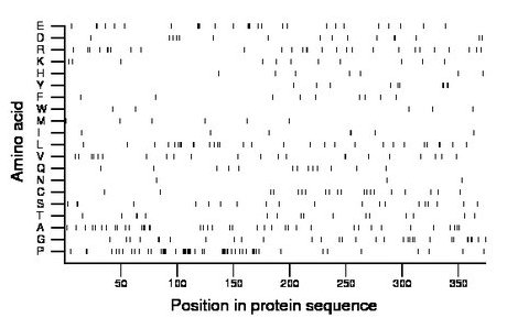 amino acid map