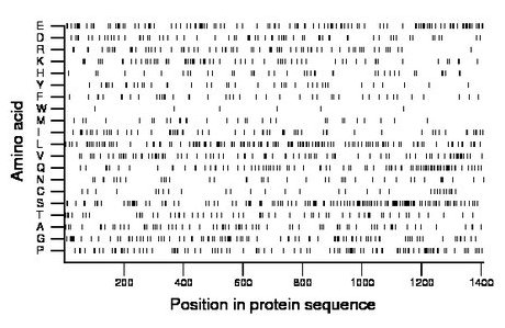 amino acid map