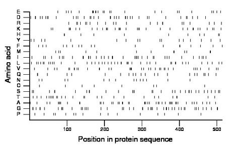 amino acid map