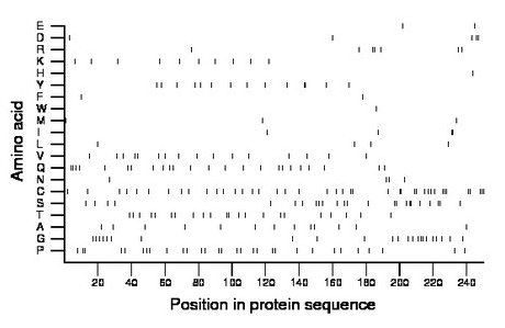 amino acid map