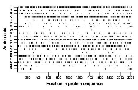 amino acid map