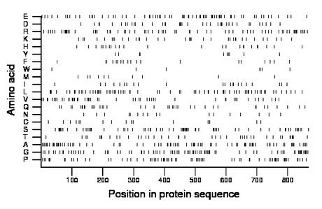 amino acid map