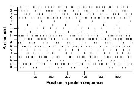 amino acid map