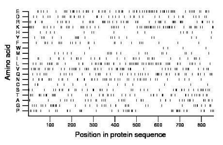 amino acid map