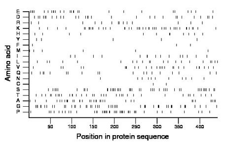 amino acid map