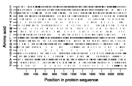 amino acid map