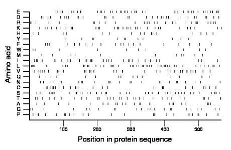 amino acid map