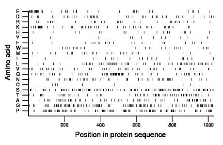 amino acid map