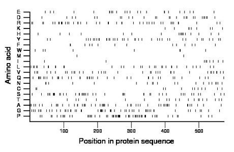 amino acid map