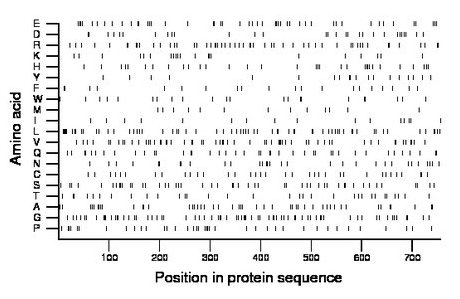 amino acid map