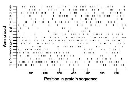 amino acid map