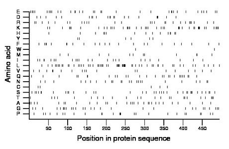 amino acid map