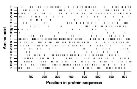 amino acid map