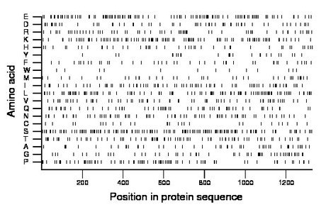 amino acid map