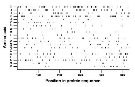 amino acid map