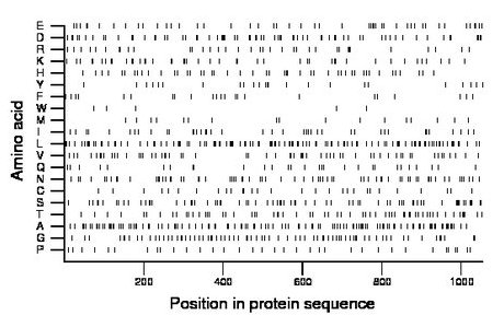 amino acid map