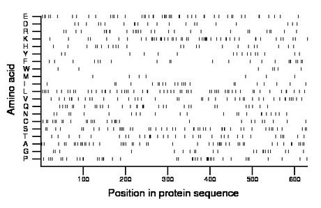 amino acid map