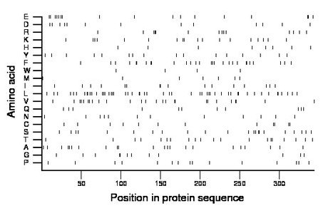 amino acid map