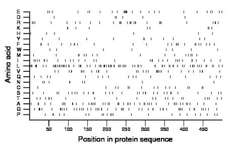 amino acid map