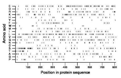 amino acid map