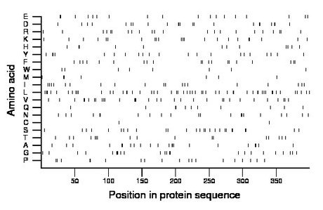 amino acid map