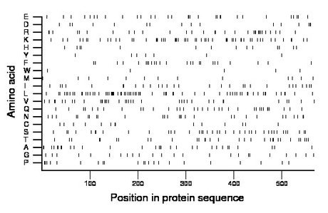 amino acid map