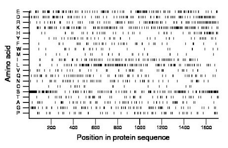 amino acid map