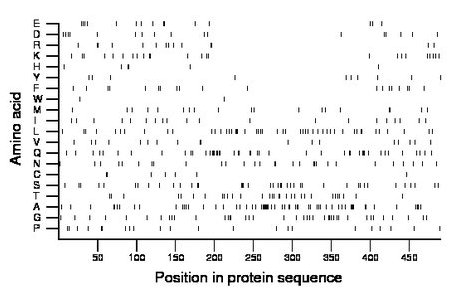 amino acid map