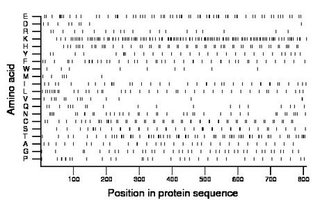 amino acid map