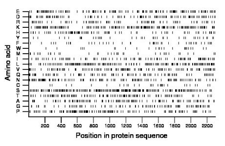 amino acid map