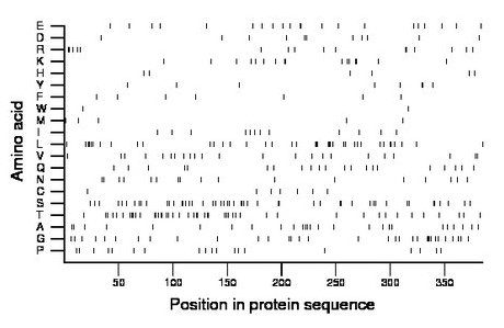 amino acid map