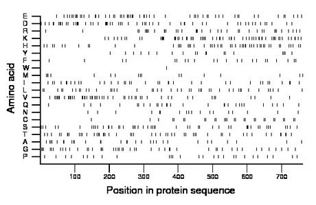 amino acid map