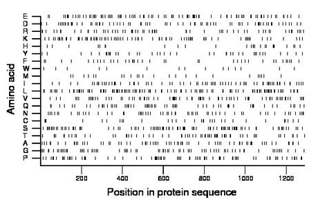 amino acid map