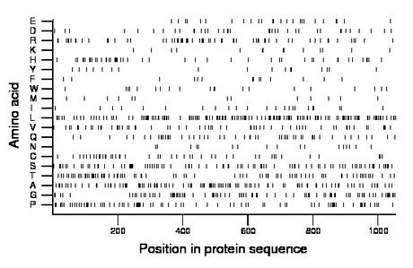 amino acid map