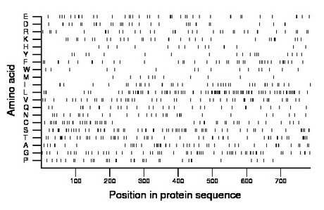 amino acid map