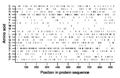 amino acid map