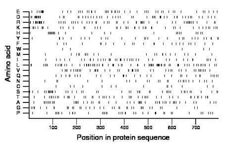 amino acid map