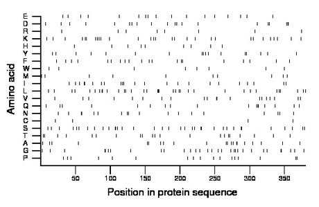 amino acid map