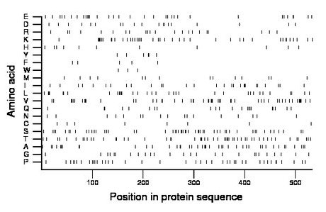 amino acid map