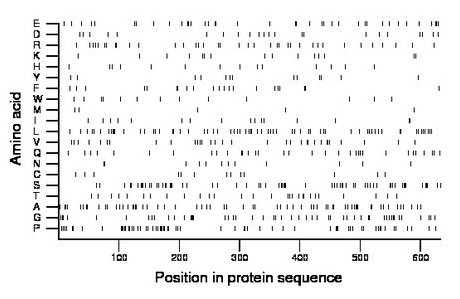 amino acid map