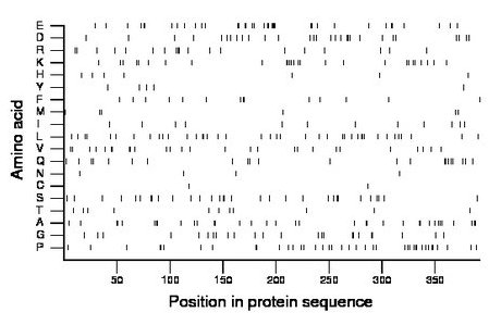 amino acid map