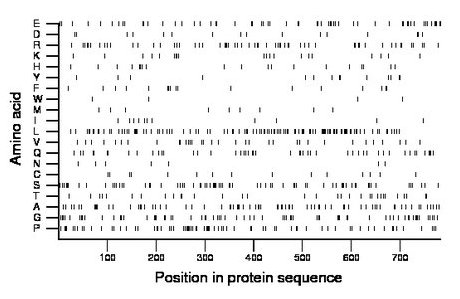 amino acid map