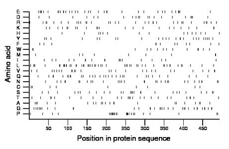 amino acid map