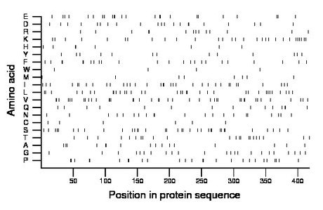 amino acid map