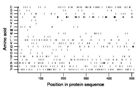 amino acid map