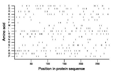 amino acid map