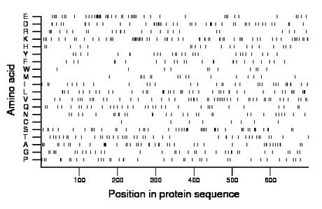 amino acid map