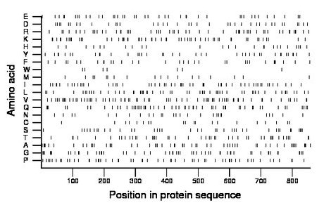 amino acid map