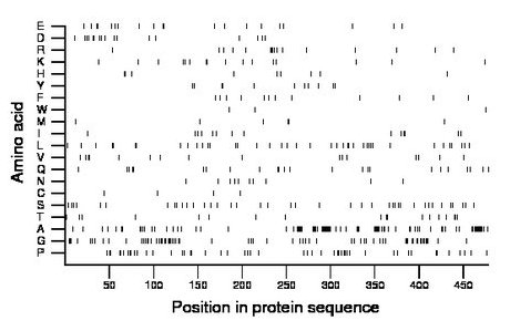 amino acid map