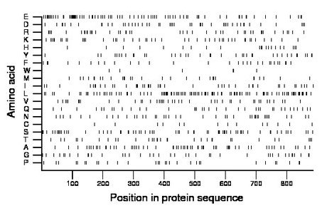 amino acid map